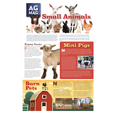 Small Animals Ag Mag